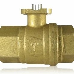 WaterCop Lead Free Brass Water Valve